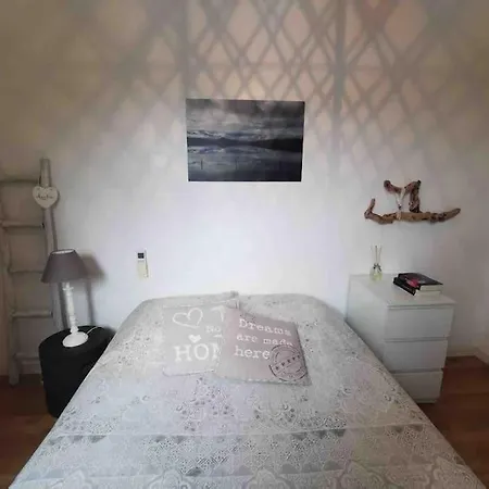 别墅 Loue Petite Maison Individuelle A Bocca Del Oro 维琪奥港