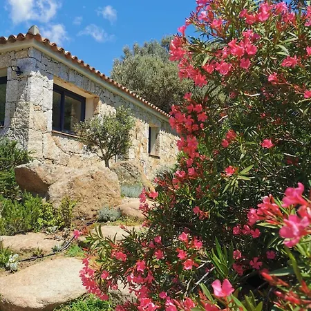 别墅 Loue Petite Maison Individuelle A Bocca Del Oro